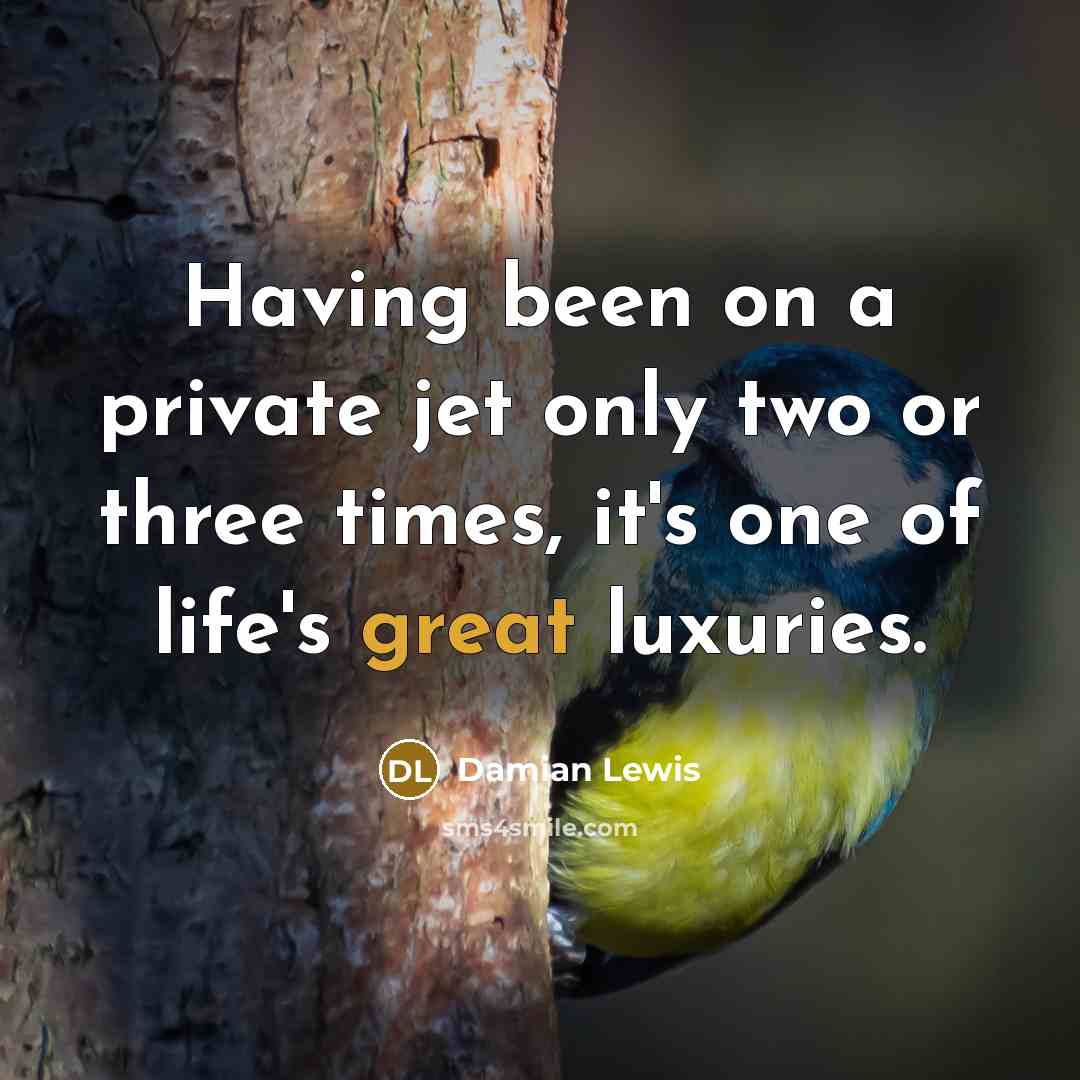 “Having been on a private jet only two or three…” quote by Damian Lewis