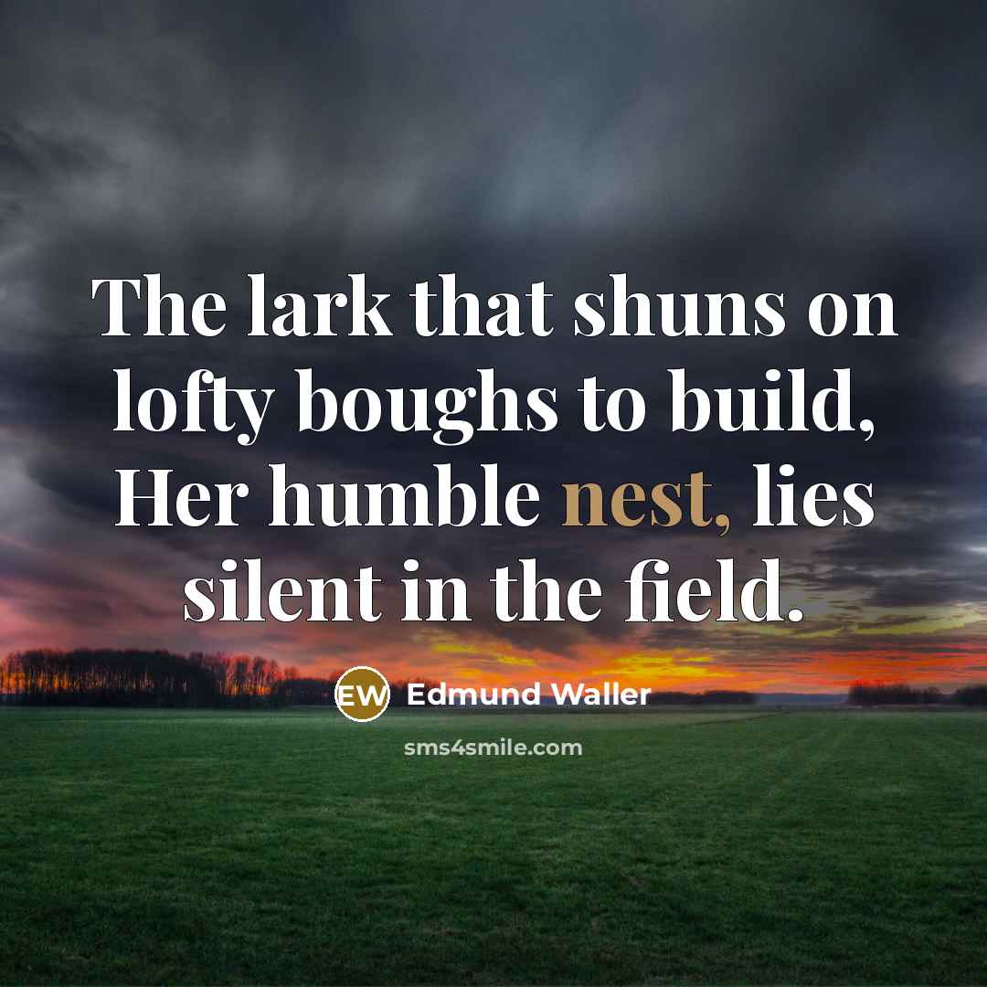 “The lark that shuns on lofty boughs to build, Her…” quote by Edmund Waller