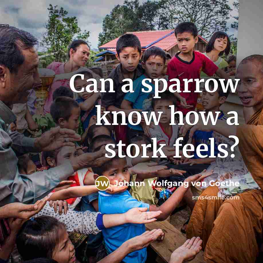 “Can a sparrow know how a stork feels?…” quote by Johann Wolfgang von Goethe