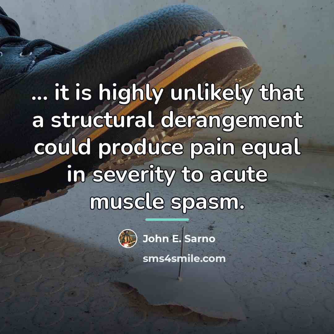“... it is highly unlikely that a structural derangement could…” quote by John E. Sarno