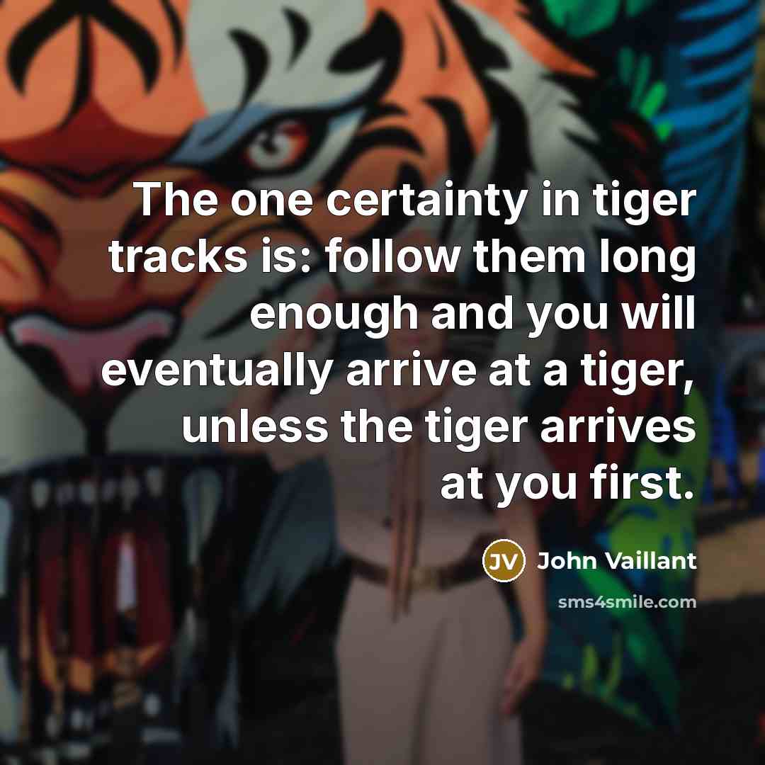 “The one certainty in tiger tracks is: follow them long…” quote by John Vaillant
