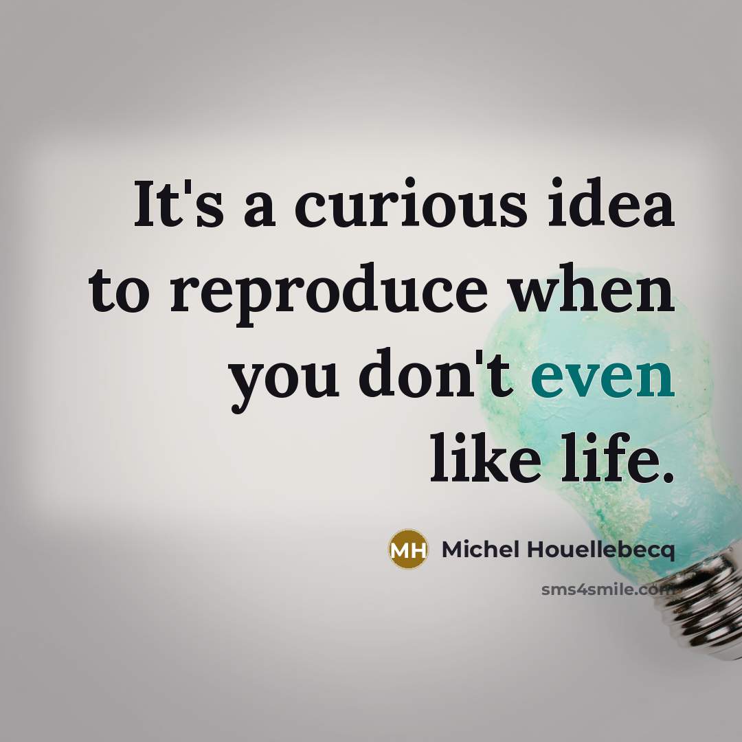 “It's a curious idea to reproduce when you don't even…” quote by Michel Houellebecq