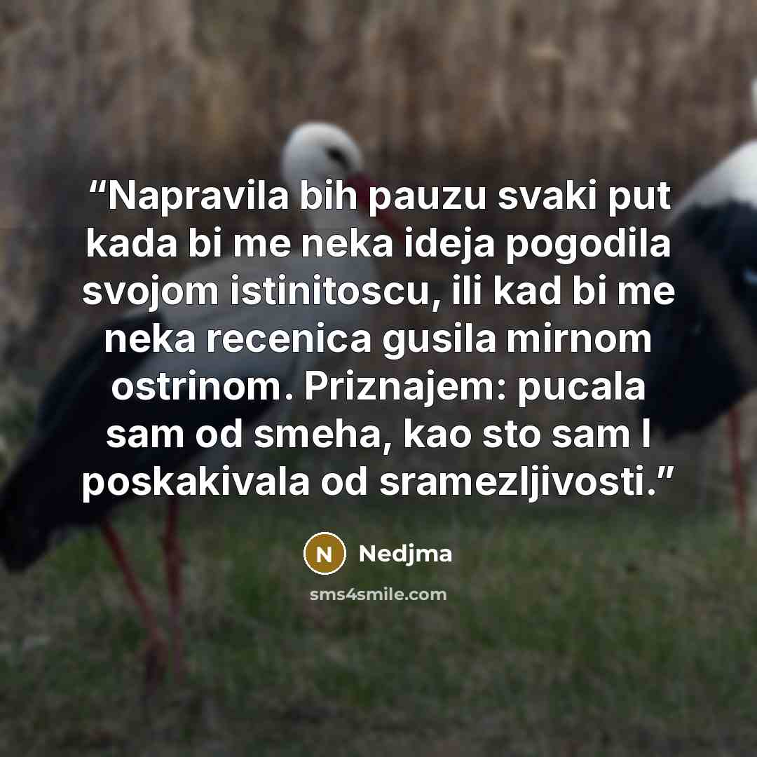 “Napravila bih pauzu svaki put kada bi me neka ideja pogodila svojom istinitoscu, ili kad bi me neka recenica gusila mirnom ostrinom. Priznajem: pucala sam od smeha, kao sto sam I poskakivala od sramezljivosti.” quote by Nedjma