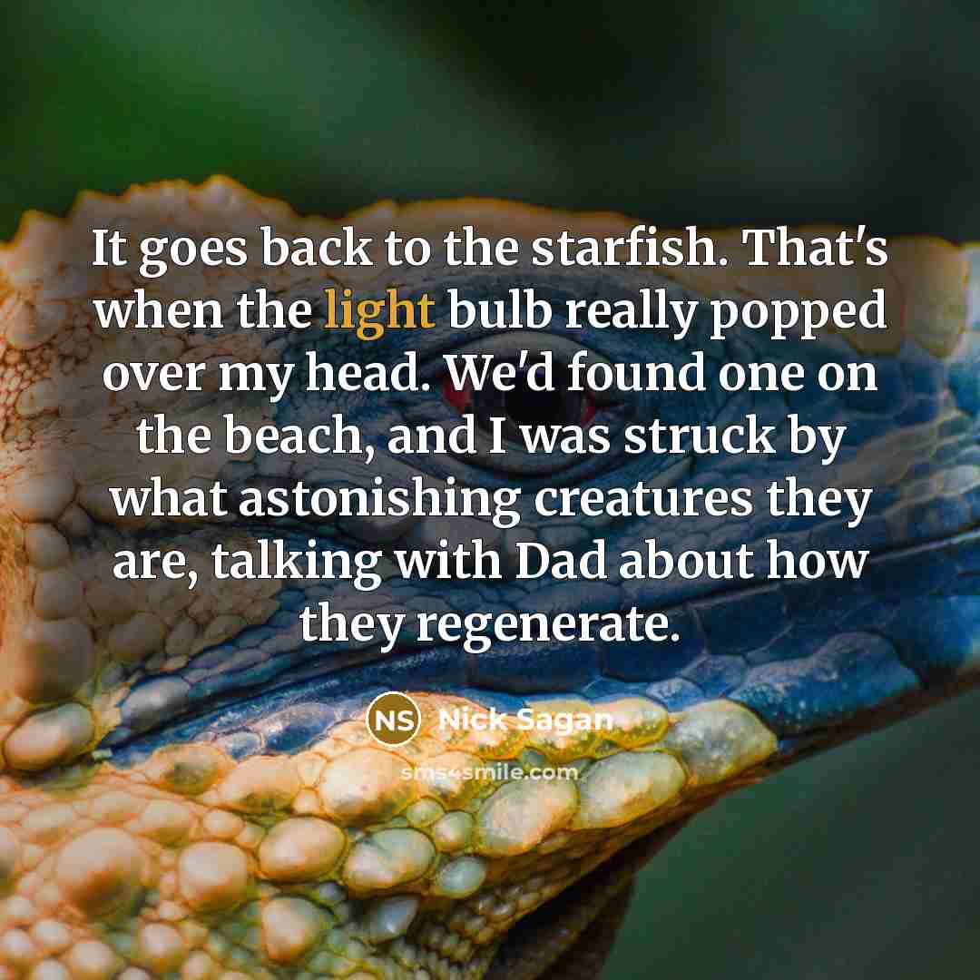 “It goes back to the starfish. That's when the light…” quote by Nick Sagan