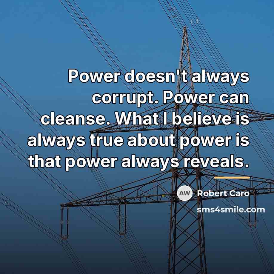 “Power doesn't always corrupt. Power can cleanse. What I believe…” quote by Robert Caro
