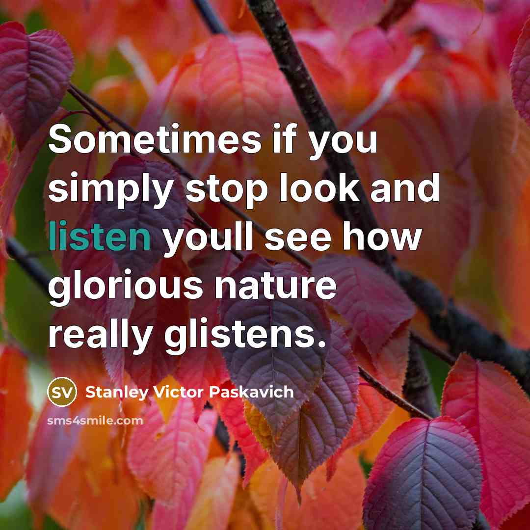 “Sometimes if you simply stop look and listen youll see…” quote by Stanley Victor Paskavich