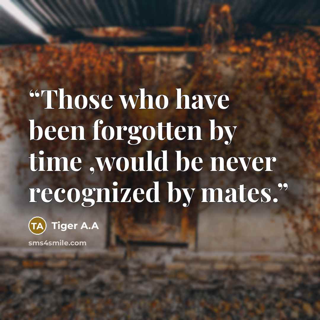 “Those who have been forgotten by time ,would be never recognized by mates.” quote by Tiger A.A