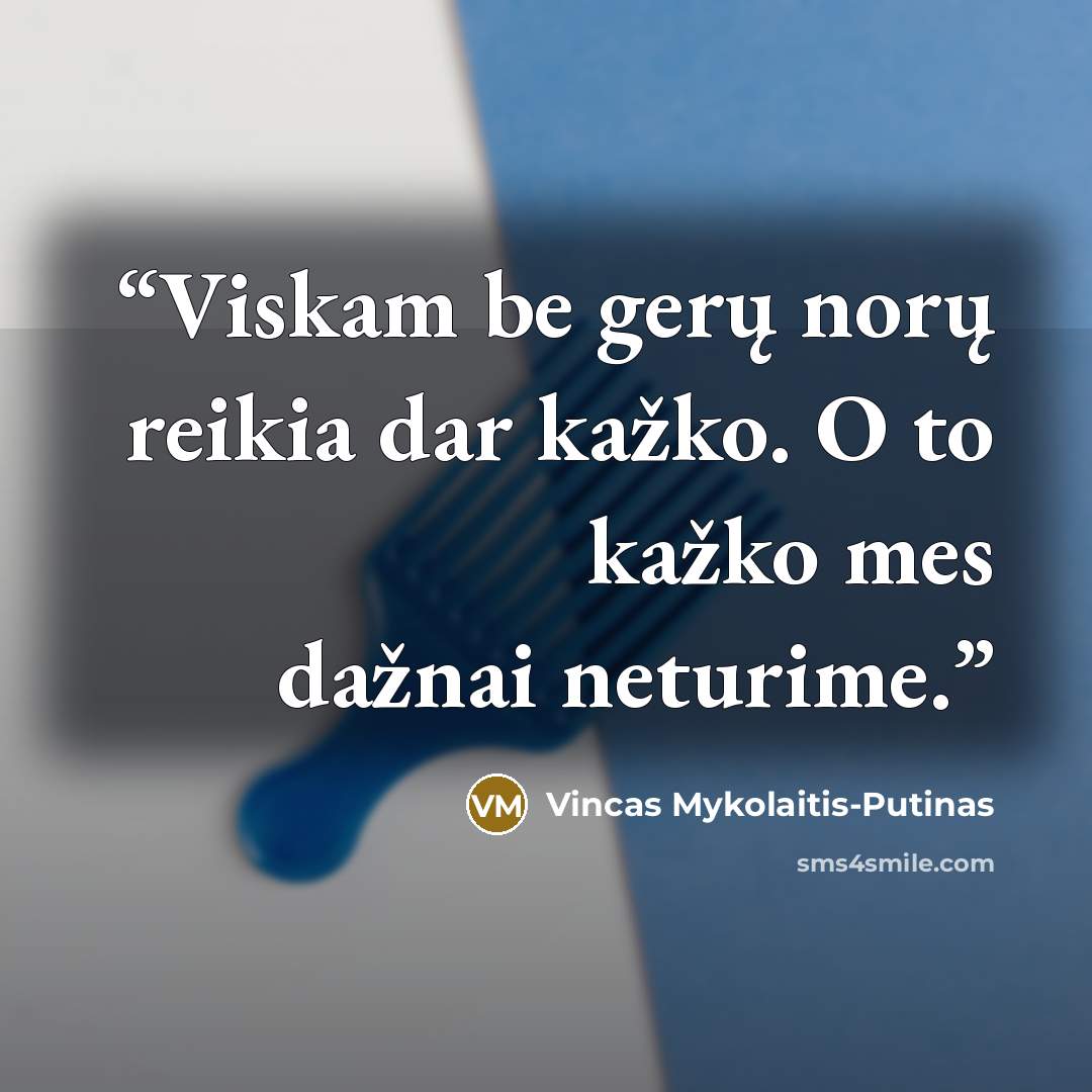 “Viskam be gerų norų reikia dar kažko. O to kažko mes dažnai neturime.” quote by Vincas Mykolaitis-Putinas