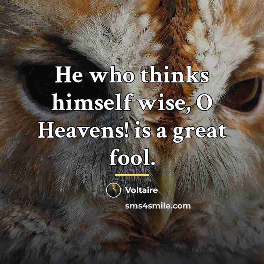 “He who thinks himself wise, O Heavens! is a great…” quote by Voltaire