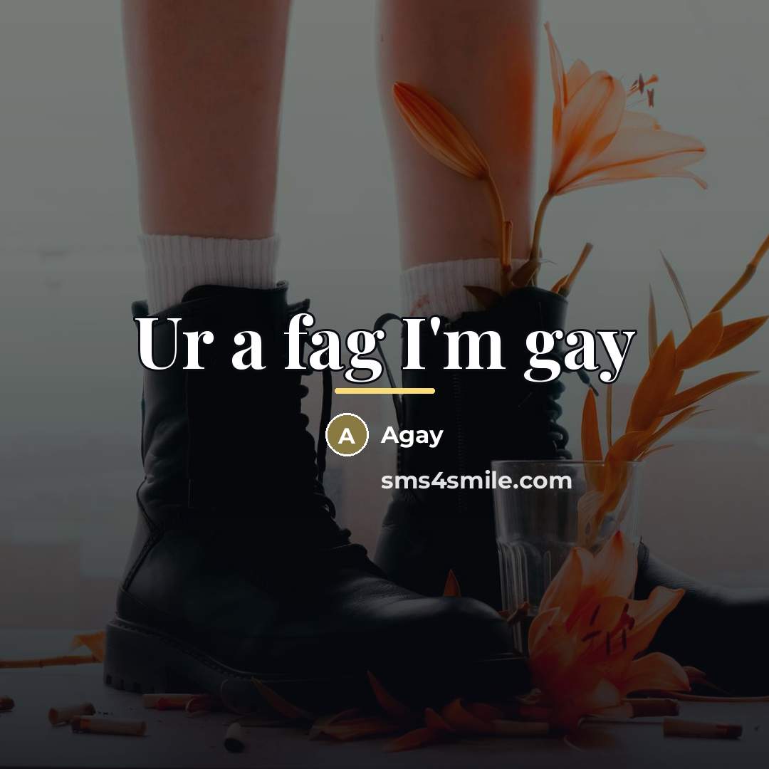 “Ur a fag I'm gay…” quote by Agay