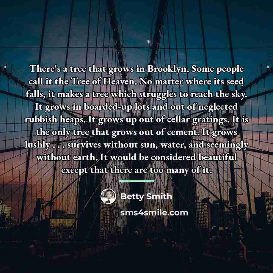 “There's a tree that grows in Brooklyn. Some people call…” quote by Betty Smith