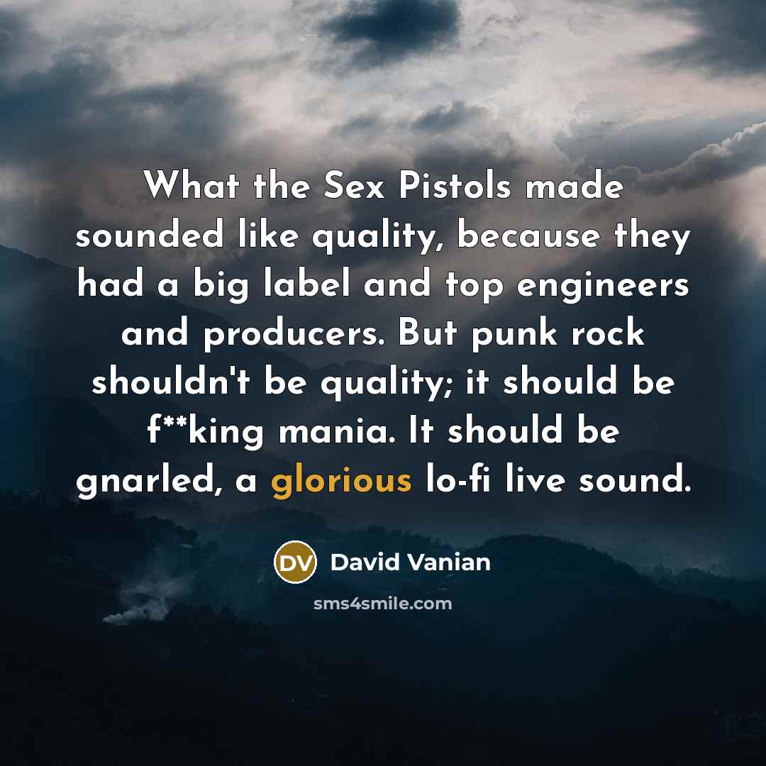 “What the Sex Pistols made sounded like quality, because they…” quote by David Vanian