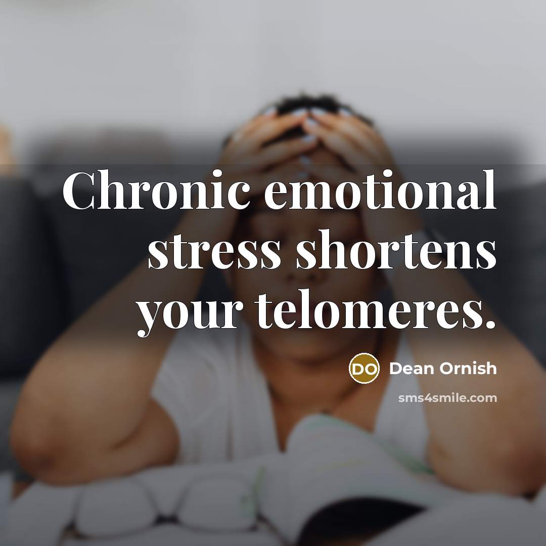 “Chronic emotional stress shortens your telomeres.…” quote by Dean Ornish
