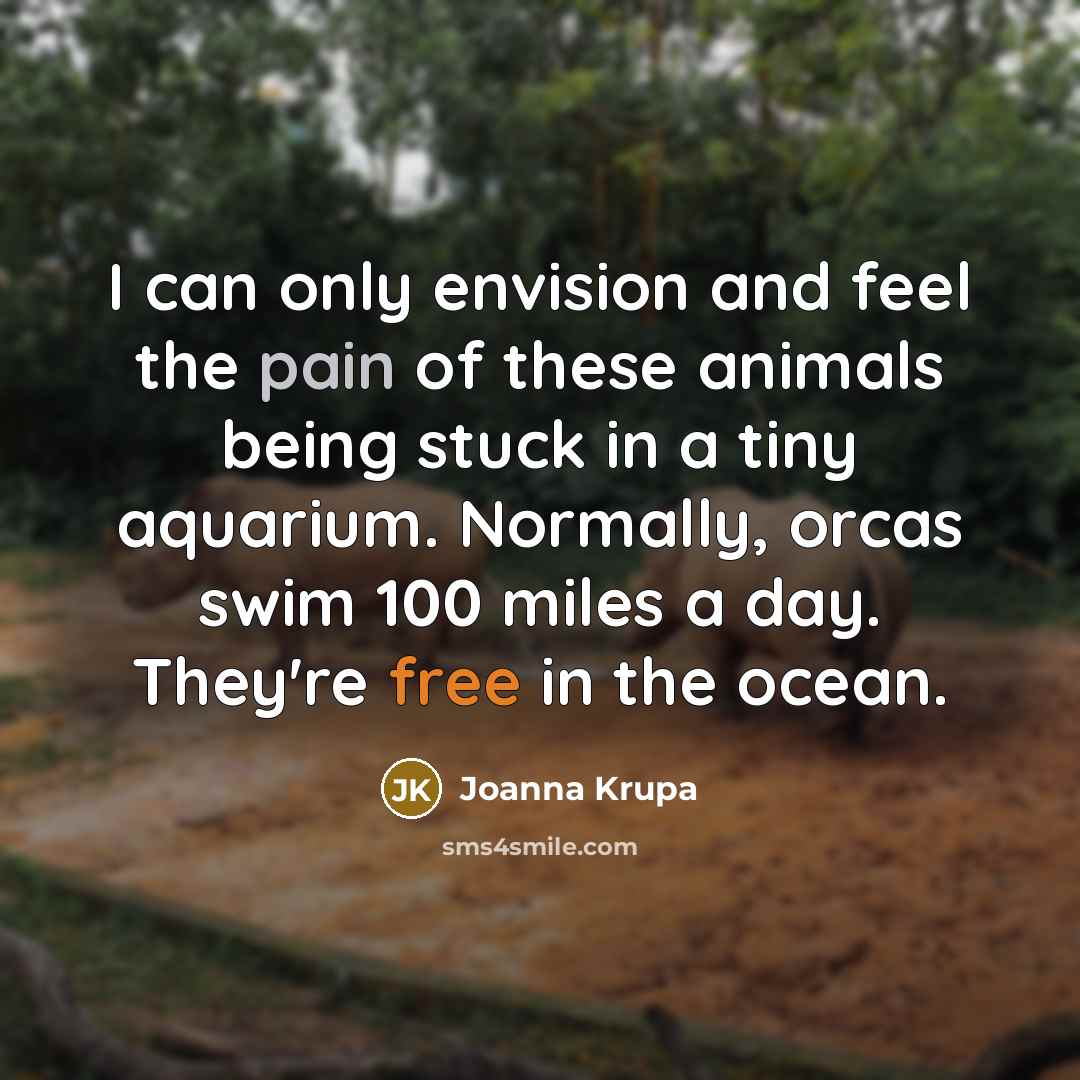 “I can only envision and feel the pain of these…” quote by Joanna Krupa