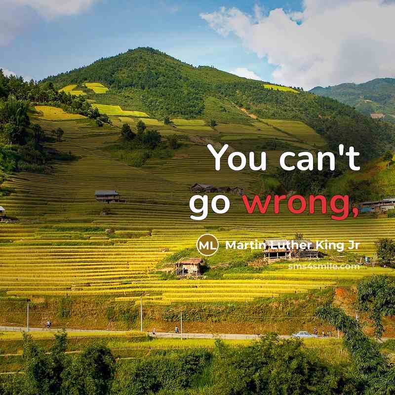 “You can't go wrong,…” quote by Martin Luther King Jr