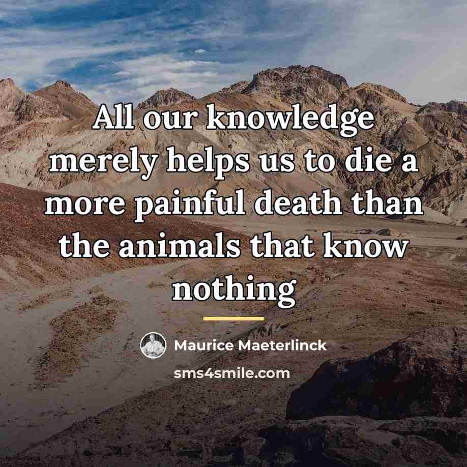 “All our knowledge merely helps us to die a more…” quote by Maurice Maeterlinck