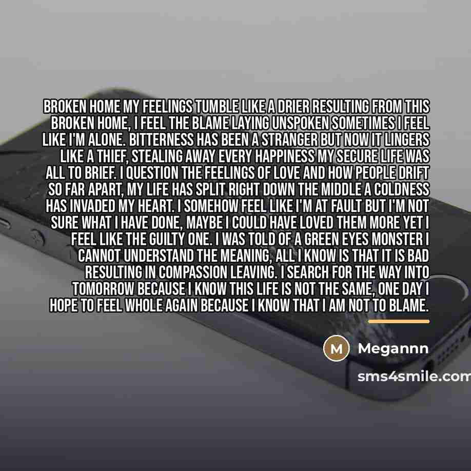 “Broken Home My feelings tumble like a drier resulting from…” quote by Megannn
