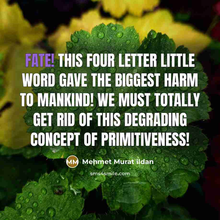 “Fate! This four letter little word gave the biggest harm…” quote by Mehmet Murat Ildan