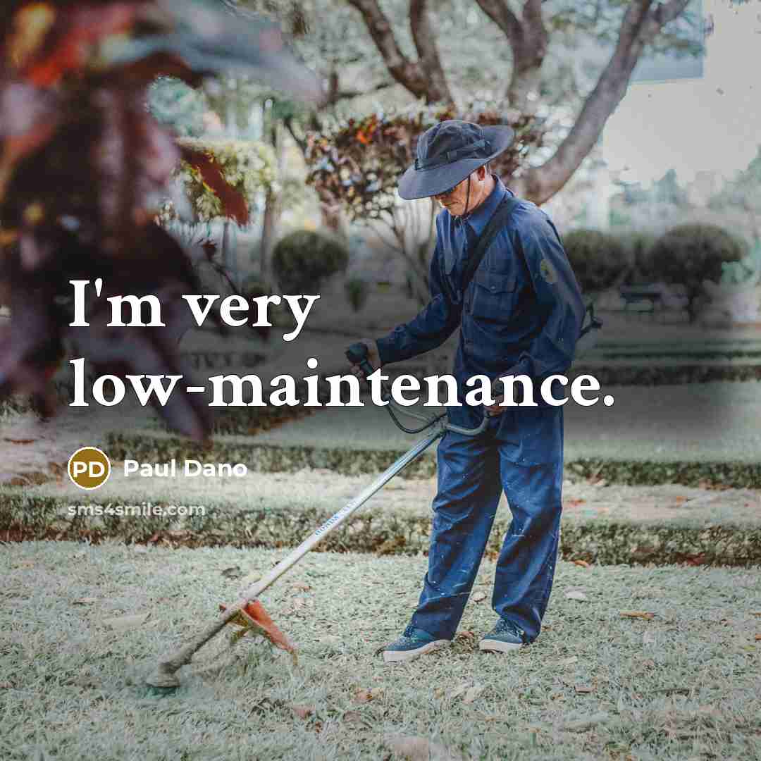 “I'm very low-maintenance.…” quote by Paul Dano