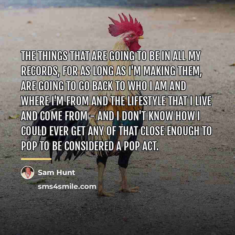 “The things that are going to be in all my…” quote by Sam Hunt