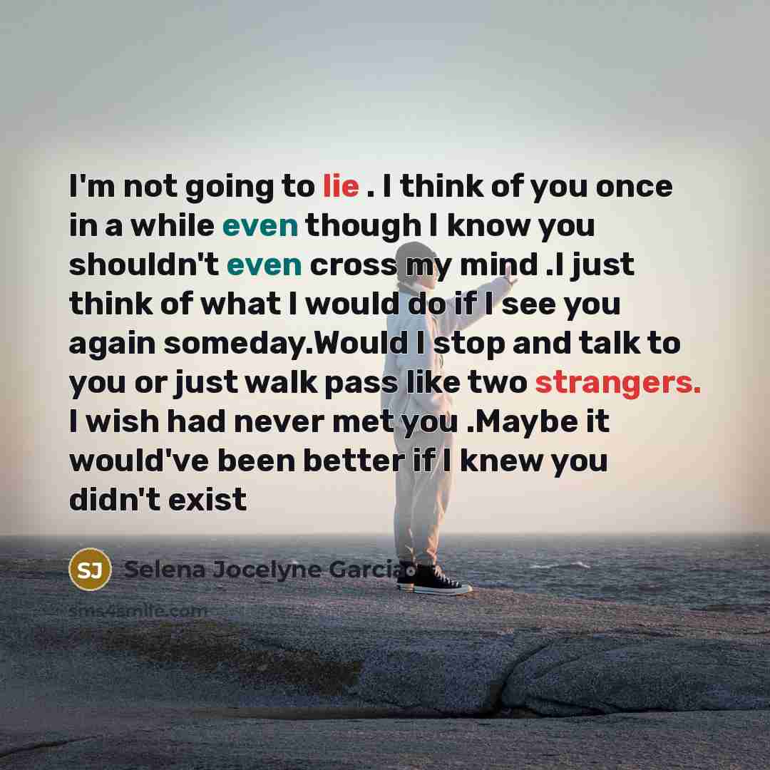 “I'm not going to lie . I think of you once in a while even though I know you shouldn't even cross my mind .I just think of what I would do if I see you again someday.Would I stop and talk to you or just walk pass like two strangers. I wish had never met you .Maybe it would've been better if I knew…” quote by Selena Jocelyne Garcia