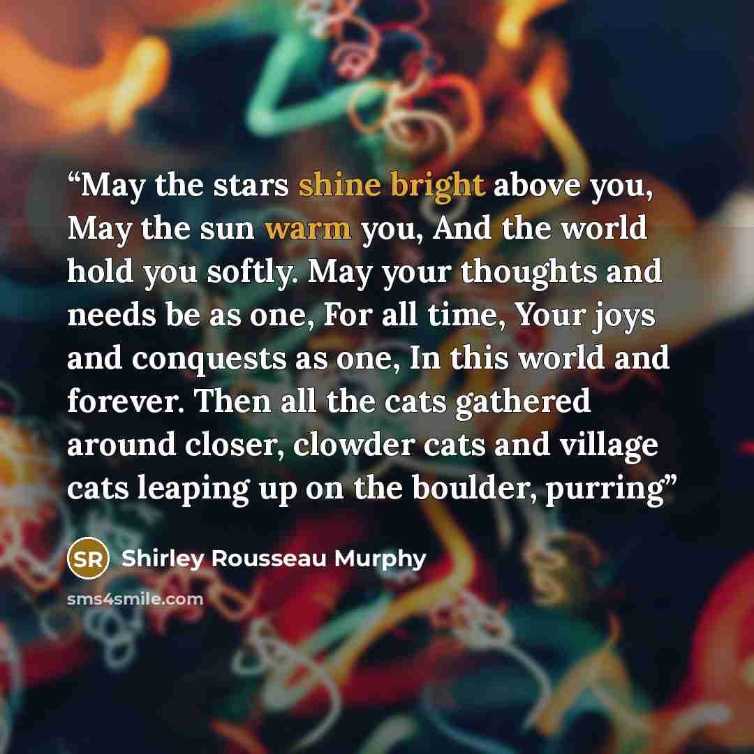 “May the stars shine bright above you, May the sun warm you, And the world hold you softly. May your thoughts and needs be as one, For all time, Your joys and conquests as one, In this world and forever. Then all the cats gathered around closer, clowder cats and village cats leaping up on the…” quote by Shirley Rousseau Murphy