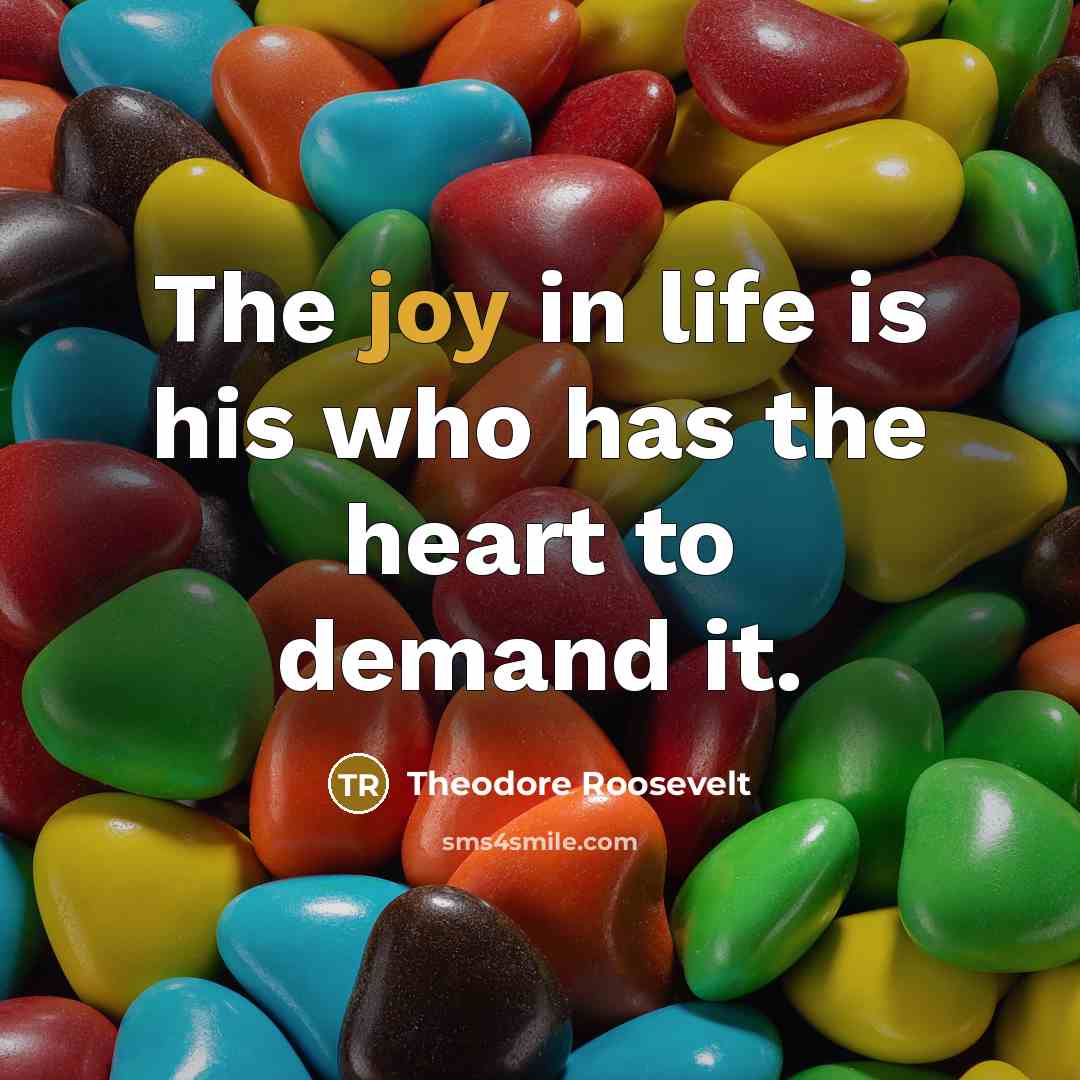 “The joy in life is his who has the heart…” quote by Theodore Roosevelt