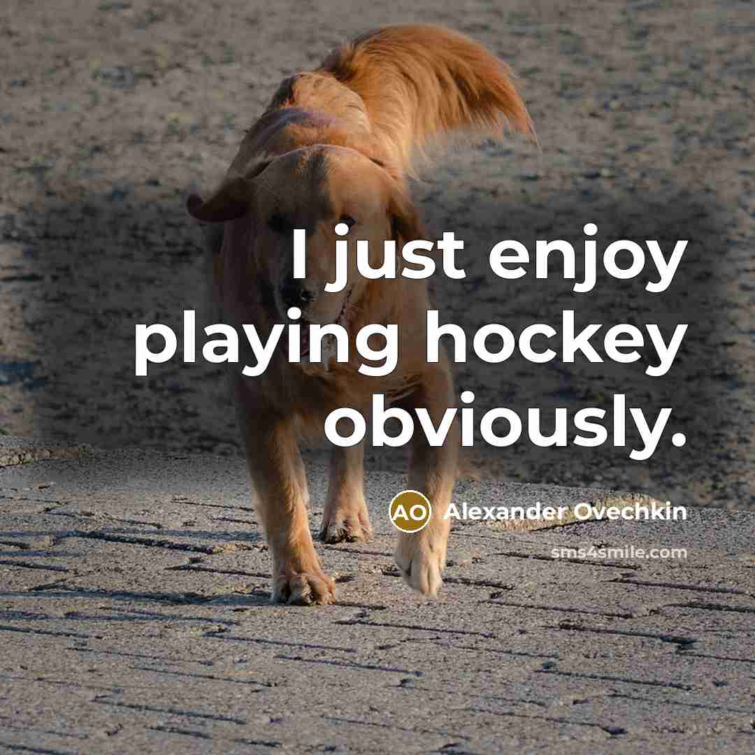 “I just enjoy playing hockey obviously.…” quote by Alexander Ovechkin