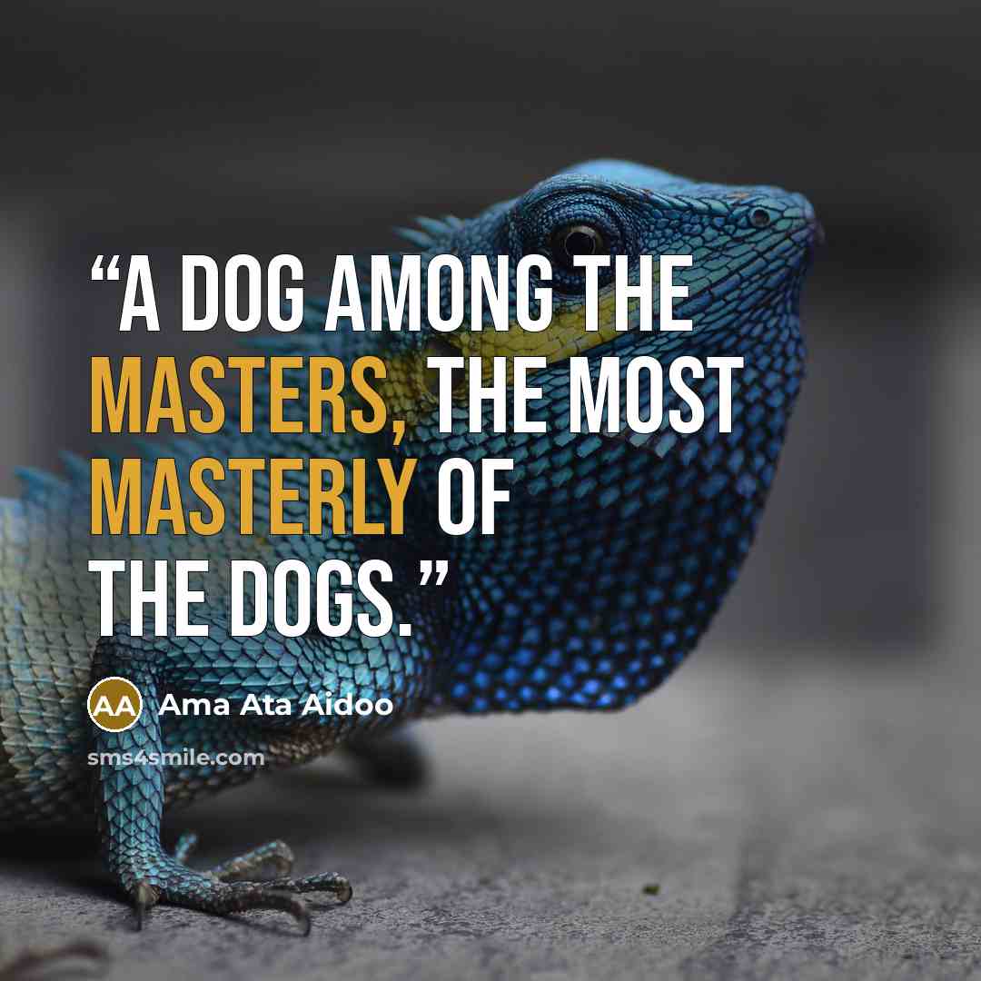 “A dog among the masters, the most masterly of the dogs.” quote by Ama Ata Aidoo