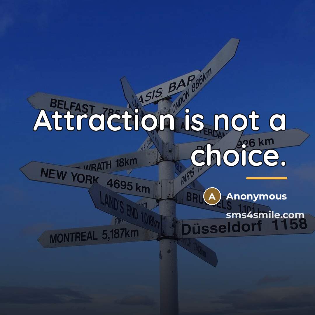 “Attraction is not a choice.…” quote by David DeAngelo