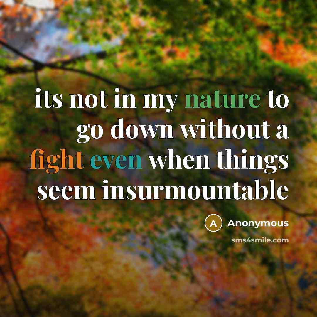 “its not in my nature to go down without a fight even when things seem insurmountable” quote by Anonymous