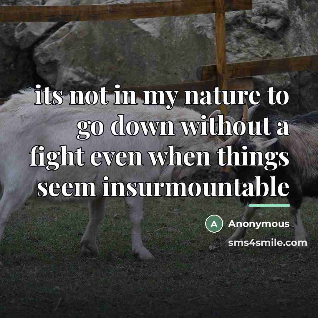 “its not in my nature to go down without a…” quote by Anonymous