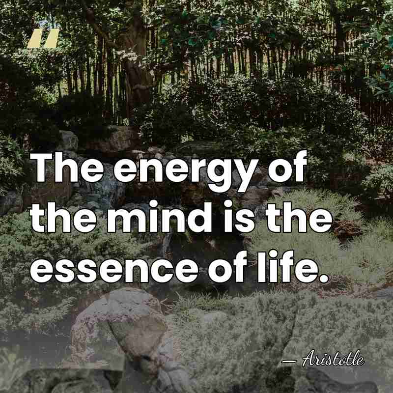 The energy of the mind is the essence of life. - Aristotle