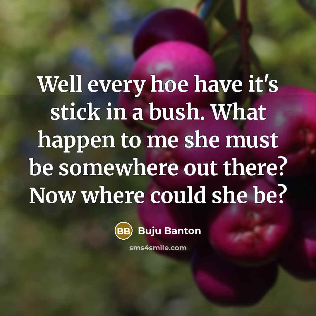 “Well every hoe have it's stick in a bush. What happen to me she must be somewhere out there? Now where could she be?” quote by Buju Banton