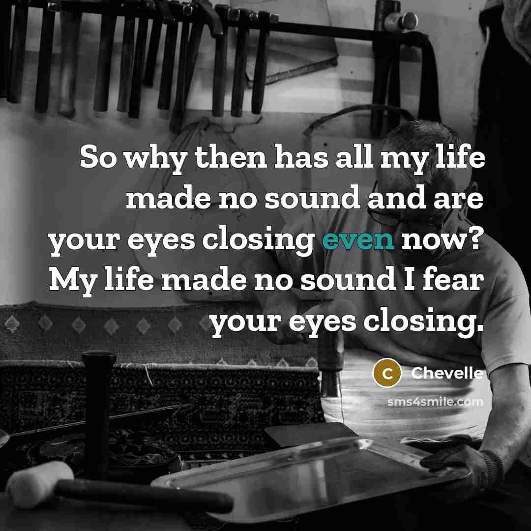 “So why then has all my life made no sound…” quote by Chevelle