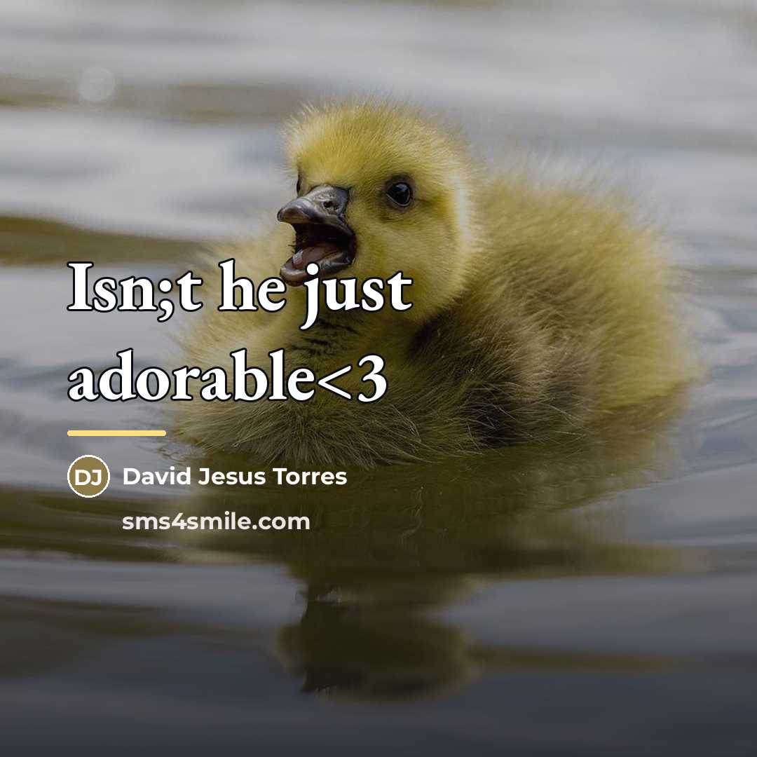 “Isn;t he just adorable…” quote by David Jesus Torres