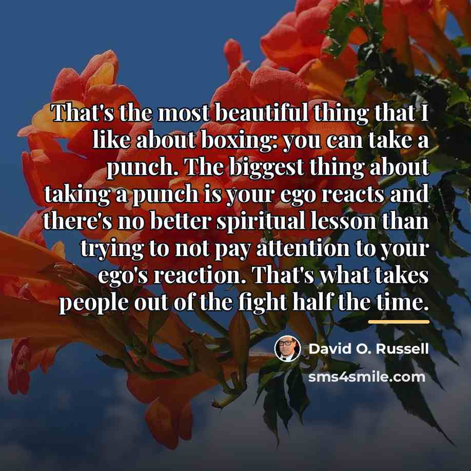 “That's the most beautiful thing that I like about boxing:…” quote by David O. Russell