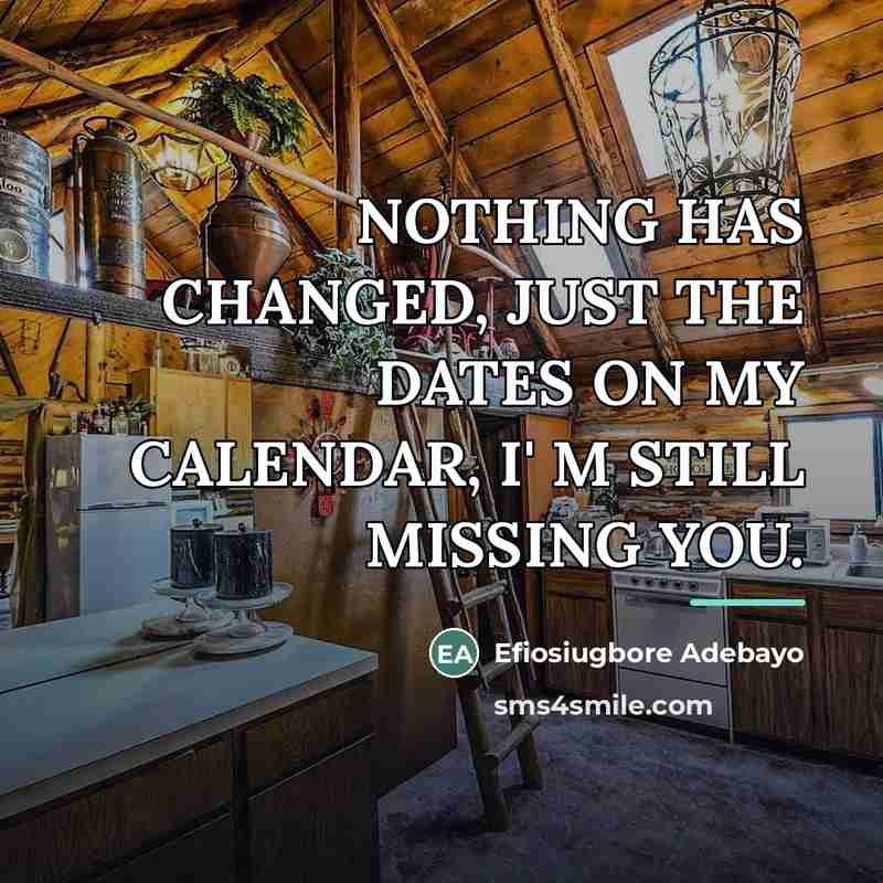 “NOTHING HAS CHANGED, JUST THE DATES ON MY CALENDAR, I'…” quote by Efiosiugbore Adebayo