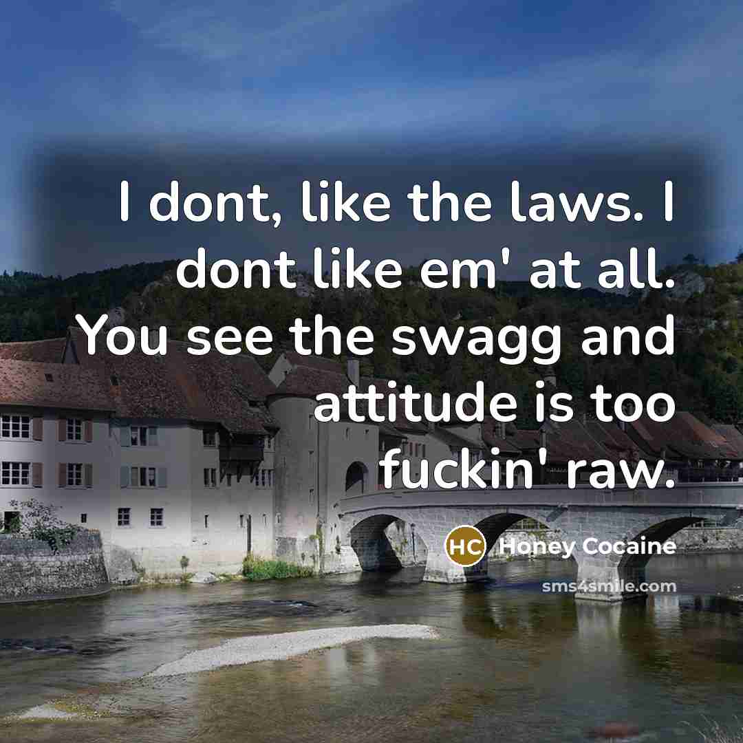 “I dont, like the laws. I dont like em' at all. You see the swagg and attitude is too fuckin' raw.” quote by Honey Cocaine