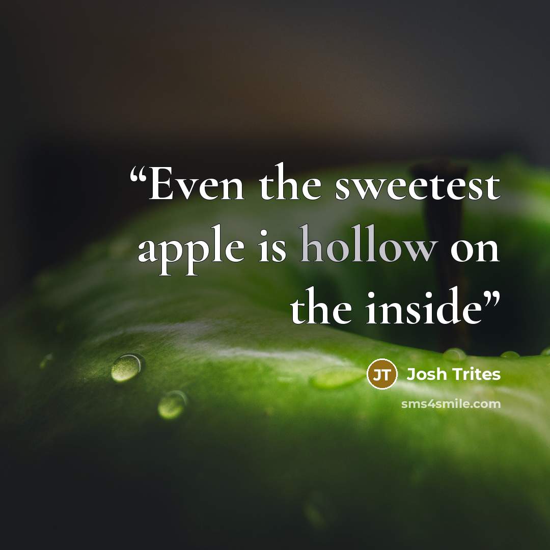 “Even the sweetest apple is hollow on the inside” quote by Josh Trites