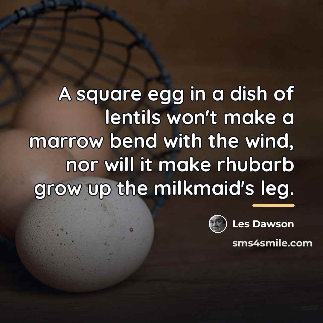 “A square egg in a dish of lentils won't make…” quote by Les Dawson