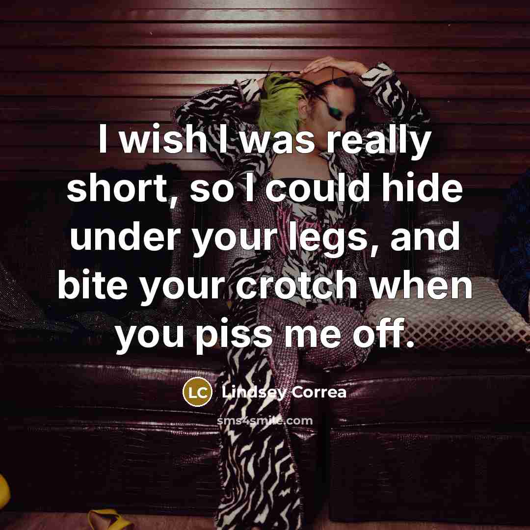 “I wish I was really short, so I could hide under your legs, and bite your crotch when you piss me off.” quote by Lindsey Correa
