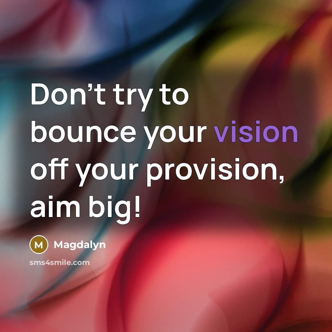 “Don't try to bounce your vision off your provision, aim big!” quote by Magdalyn