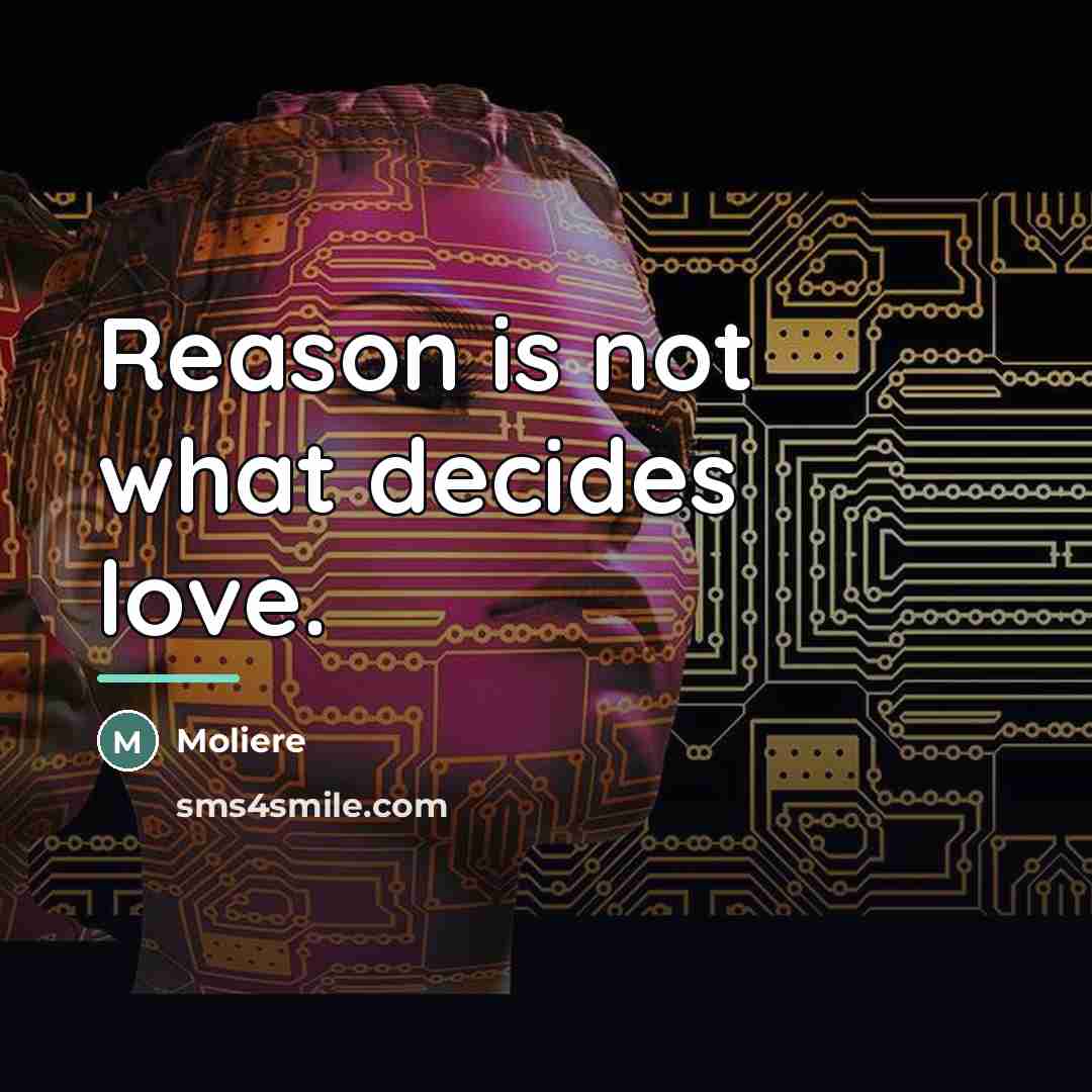 “Reason is not what decides love.…” quote by Moliere