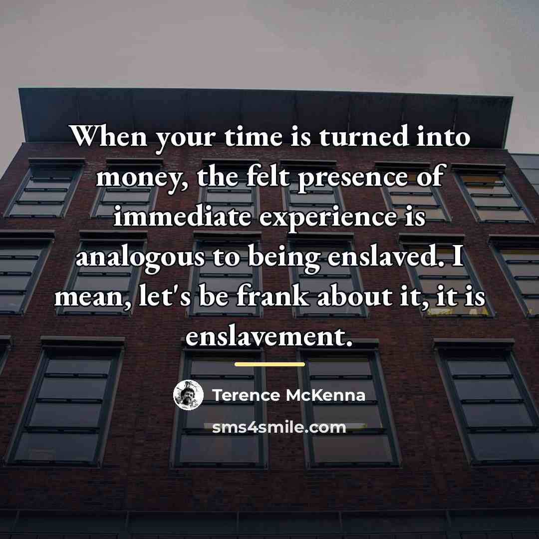 “When your time is turned into money, the felt presence…” quote by Terence McKenna