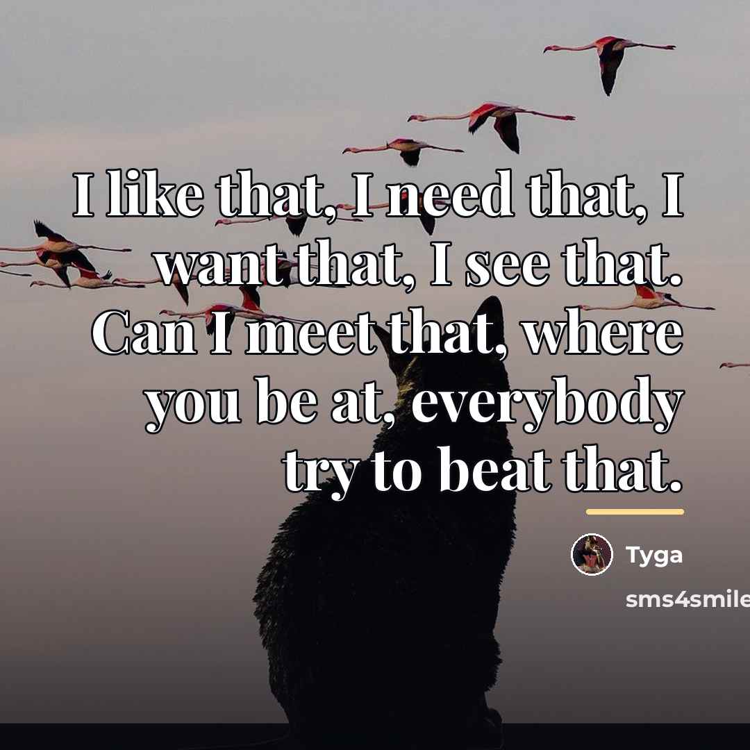 “I like that, I need that, I want that, I…” quote by Tyga