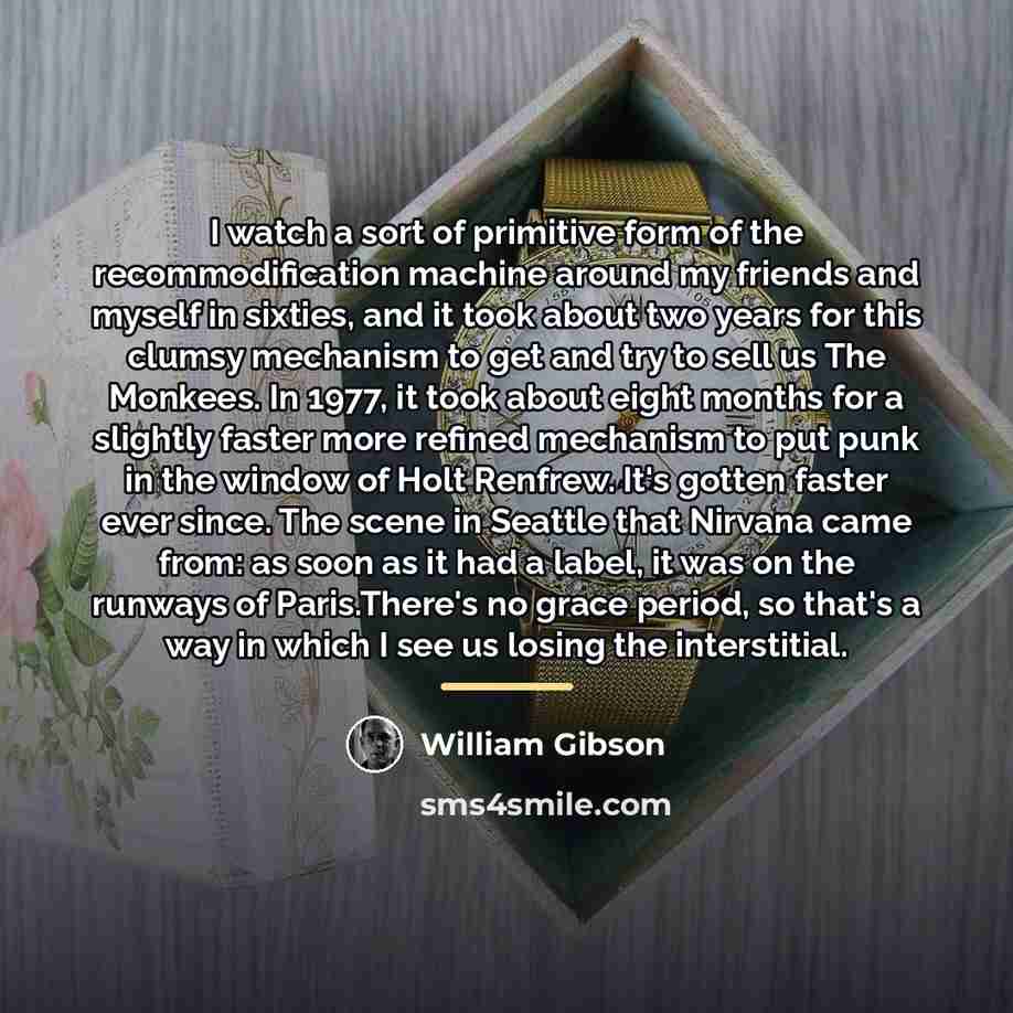 “I watch a sort of primitive form of the recommodification…” quote by William Gibson