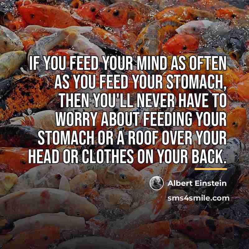 “If you feed your mind as often as you feed…” quote by Albert Einstein