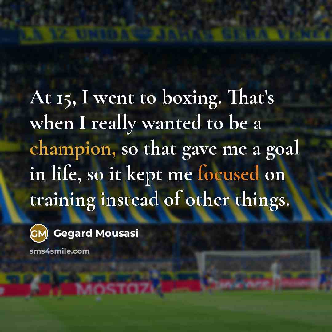 “At 15, I went to boxing. That's when I really…” quote by Gegard Mousasi