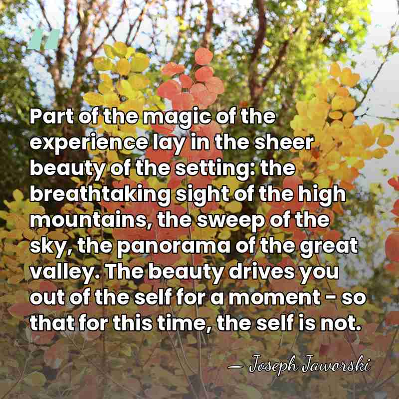 Part of the magic of the experience lay in the sheer beauty&hellip; - Joseph Jaworski